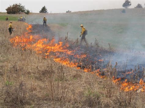 Harnessing Fire As A Conservation Tool Friends Of The Mississippi River