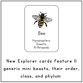 Mini Beasts Identification Entomology by Hot Mess Homeschool Mama