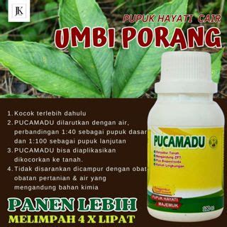 Jual Pupuk Untuk Umbi Porang Booster Nutrisi Tanaman Porang Cepat