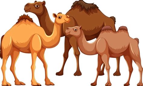 2396 Camel Clip Art Stock Vectors And Vector Art Shutterstock