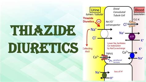 Thiazide Diuretics Youtube