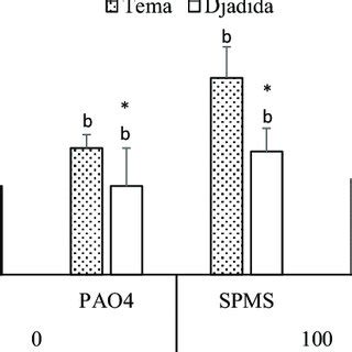 Expression Levels Of Genes Encoding Enzymes Involved In Polyamine