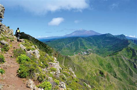 Exploring the natural wonders of the forest park lawndale 37