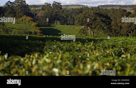 Green Hills Farm Stock Videos And Footage Hd And 4k Video Clips Alamy