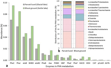 Abundance And Distribution Of PHA Metabolism In The WGS Metagenomes Of