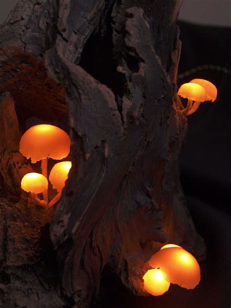 Adorable Mushroom Lamp Perfect For Your Home Or For Your T To