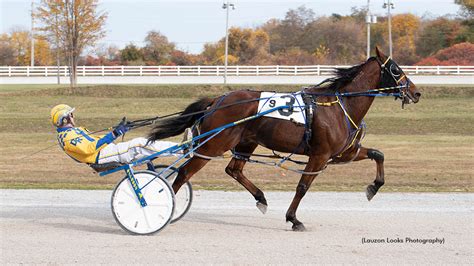 Cassidy Schneider Standardbred Canada