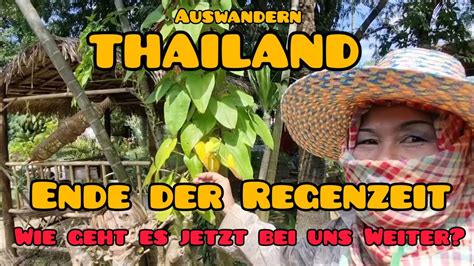 Auswandern Thailand Ende Der Regenzeit Wie Geht Es Weiter Was Gibt S