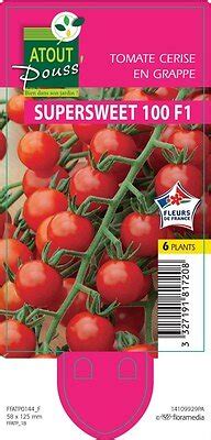 Tomate Cerise Supersweet En Barquette De Plants Bricomarch