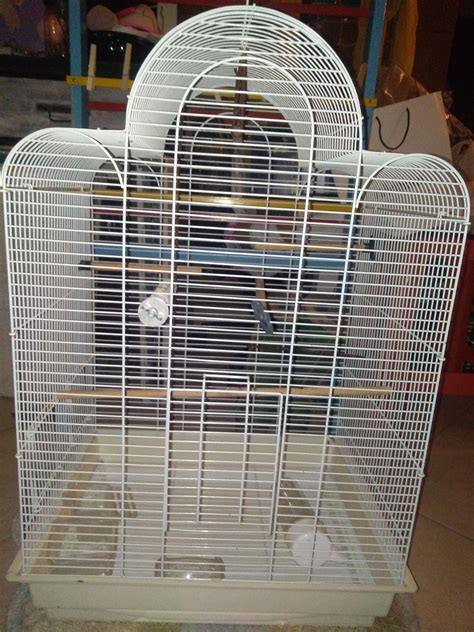 Cockatiel cage size! : r/cockatiel