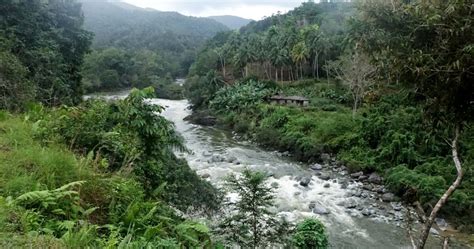 Cuba Sendero El Yunque Le Rio Duaba 1 Formation1 Geo Fr