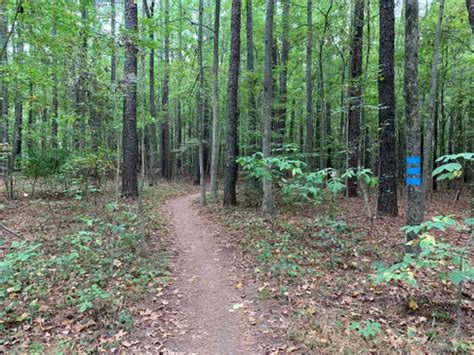 10 Best Rails Trails In North Carolina Alltrails