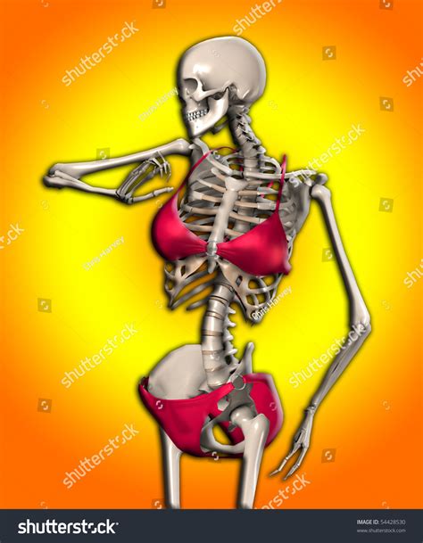 Skeleton Bikini Stock Illustration 54428530 Shutterstock