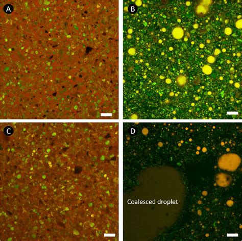 Microstructural Evolution Of Chocolates On Triboshearing A B