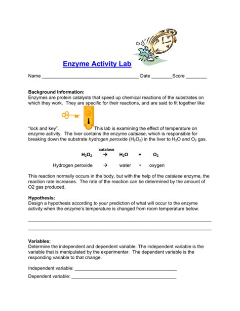 Enzyme Activity Lab