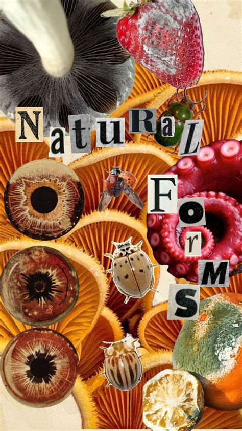 The Words Natural Form Spelled With Letters Surrounded By Pictures Of