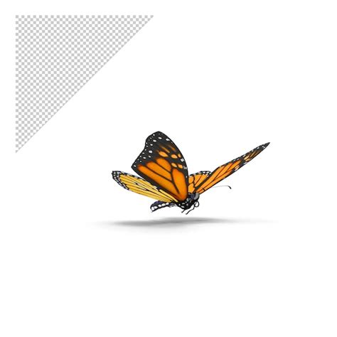 Pose De Papillon Monarque En Vol Png Psd Premium