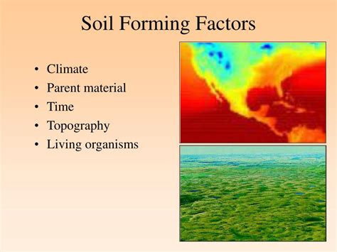 Ppt Formation Chemistry And Biology Of Wetland Soils Powerpoint