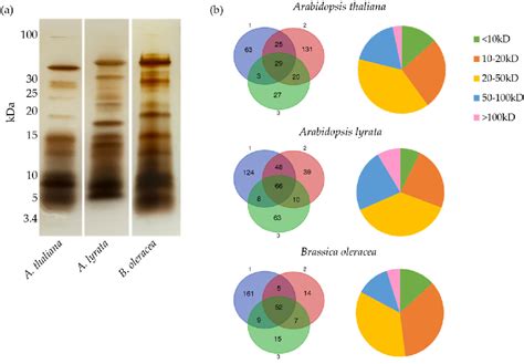 Figure From Pollen Coat Proteomes Of Arabidopsis Thaliana