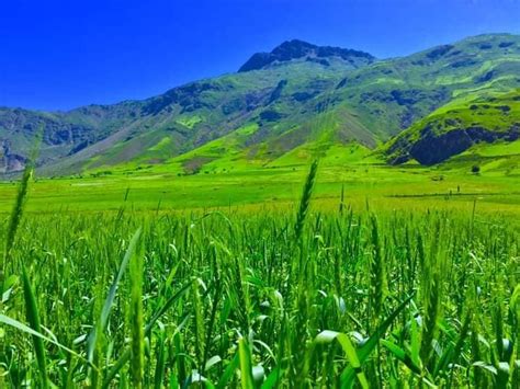 طبیعت زیبای بدخشانتصاویر خبرگزاری شیعیان افغانستان Afghanistan