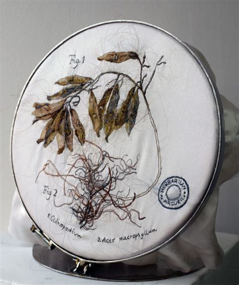 Clinopodium De La S Rie Herbarium Fiber Art Fever