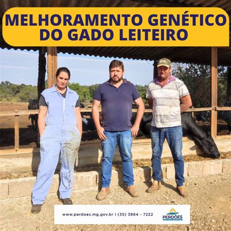 Melhoramento Gen Tico Do Gado Leiteiro Prefeitura Municipal De Perd Es