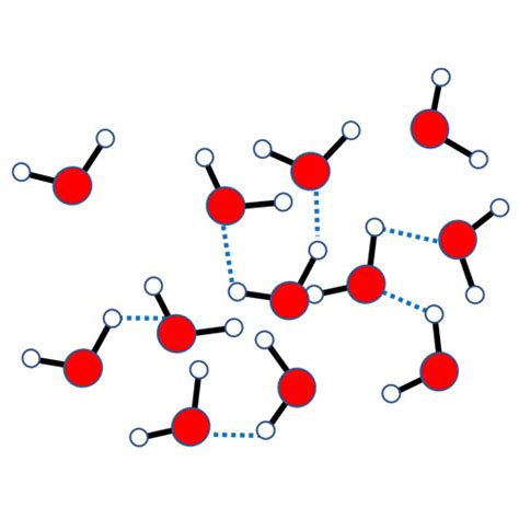 Intermolecular Forces Water Molecule Oertx