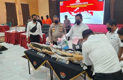 Bongkar Jaringan Pengedar Lintas Provinsi Polda Diy Temukan Hektare