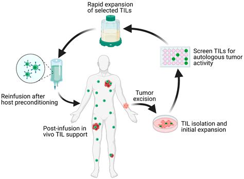 Single Cell Rna Seq Identifies Putative Biomarker To Distinguish