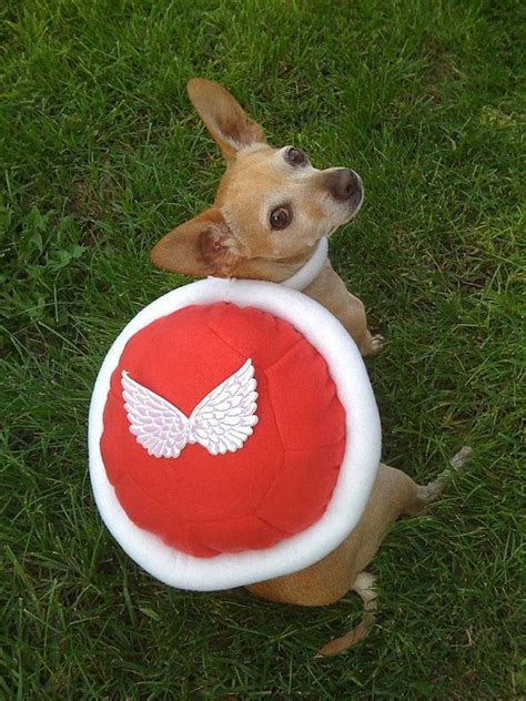 Super Mario Dog Cute Dog Costumes Dog Costume Super Mario