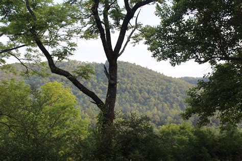 Available Positions Appalachian Headwaters