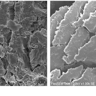 Longitudinal Surface Observation Of A Virgin B Scoured Bleached In