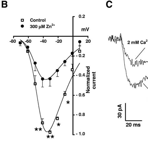 Voltage Dependence Curves Of The Activation And Inactivation Time