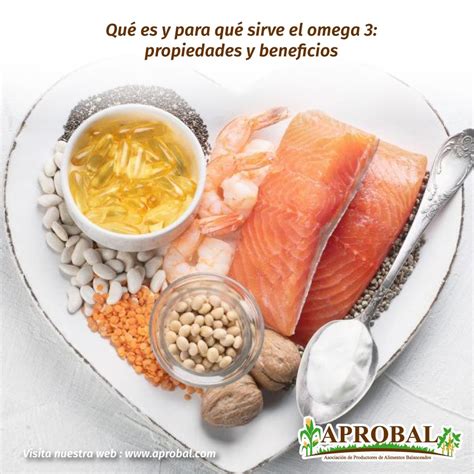 QUÉ ES Y PARA QUÉ SIRVE EL OMEGA 3 PROPIEDADES Y BENEFICIOS Aprobal