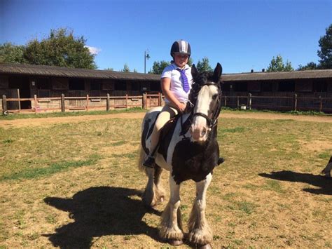 New Range Riding School And Rescue Centre The Horse Riding School With