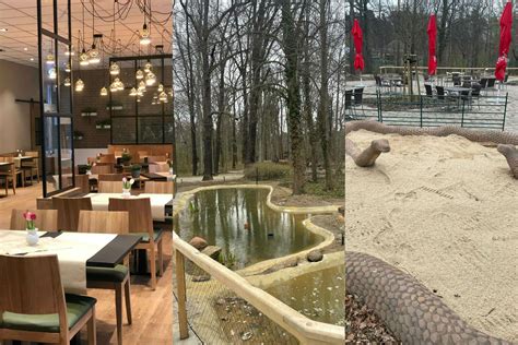 Moderne Gaststätte im Tierpark Cottbus Neues Affengehege Spielplatz