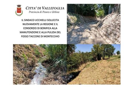 Vallefoglia Ucchielli Sollecita La Regione E Il Consorzio Di Bonifica