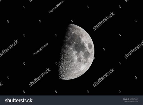 picture images stock  vectors shutterstock