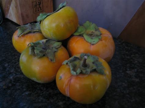 Divah World: Persimmon Season!