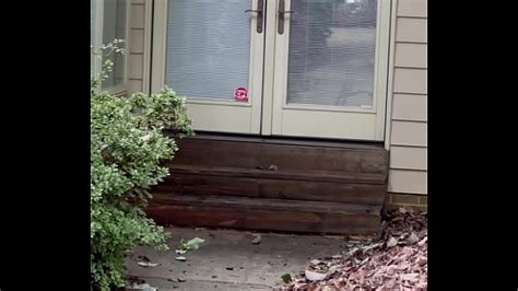 Porch Videos XVIDEOS