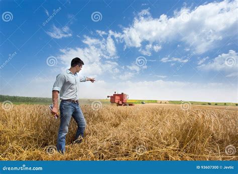 Farmer in Field during Harvest Stock Photo - Image of industry, farming ...