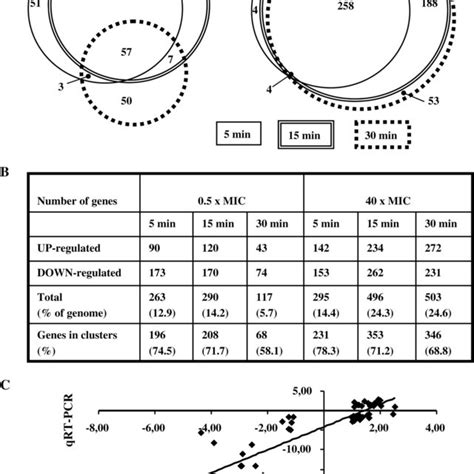 Gene Expression Analysis And Validation Of Microarray Data By QRTPCR