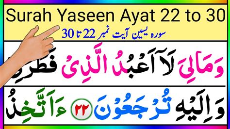 Surah Yaseen Ayat To Learn Surah Yaseen Surah Yaseen With