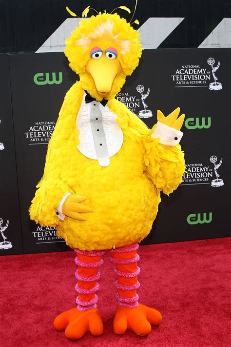 Download Big Bird Red Carpet Wallpaper | Wallpapers.com