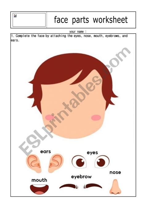 Face Parts ESL Worksheet By Hohomommy