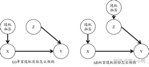 因果推断混杂与去混杂 知乎