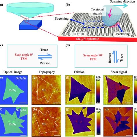 Afm Characterization Of The Cvd Grown Mos2 Monolayer On The Al2o3