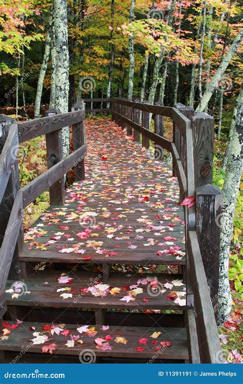 Fall Colors in Michigan Upper Peninsula Stock Image - Image of trail ...