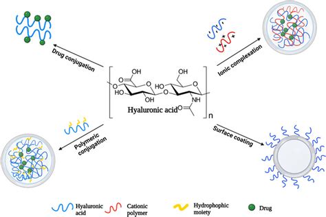 Exploring The Applications Of Hyaluronic Acidbased Nanoparticles For