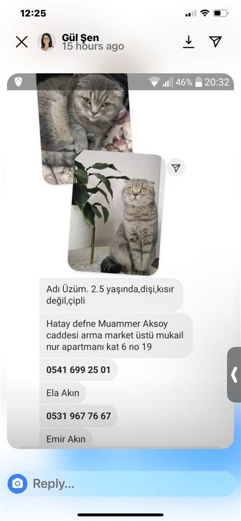 Selina On Twitter RT Haysevder Hatay Defne Muammer Aksoy Caddesi